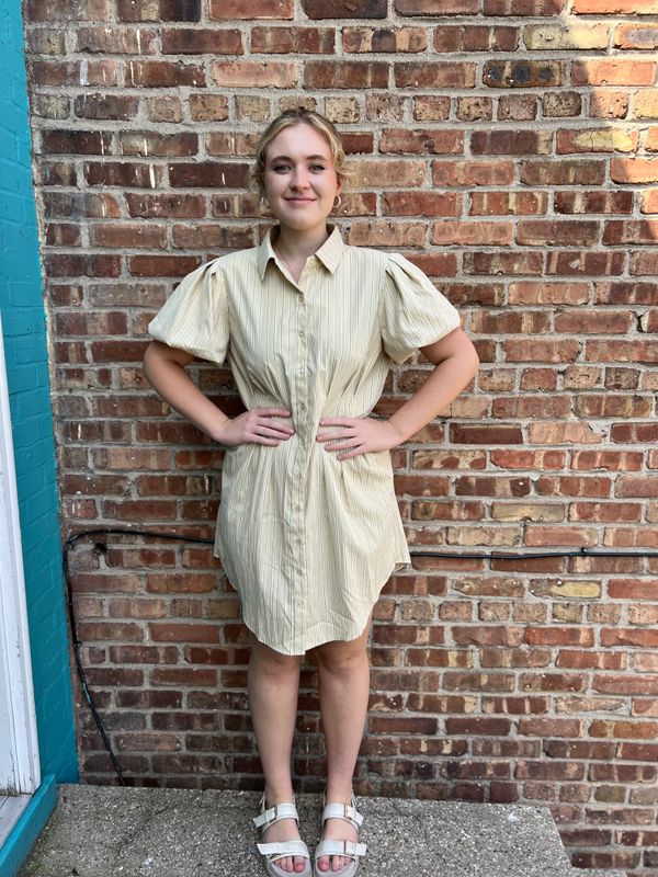 Lydia Stripe Button Shirt Dress
