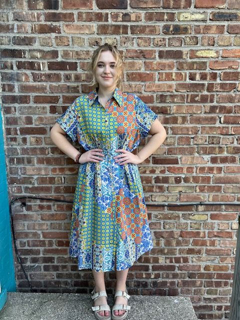 Rachel Pleated Multi Print Button Dress