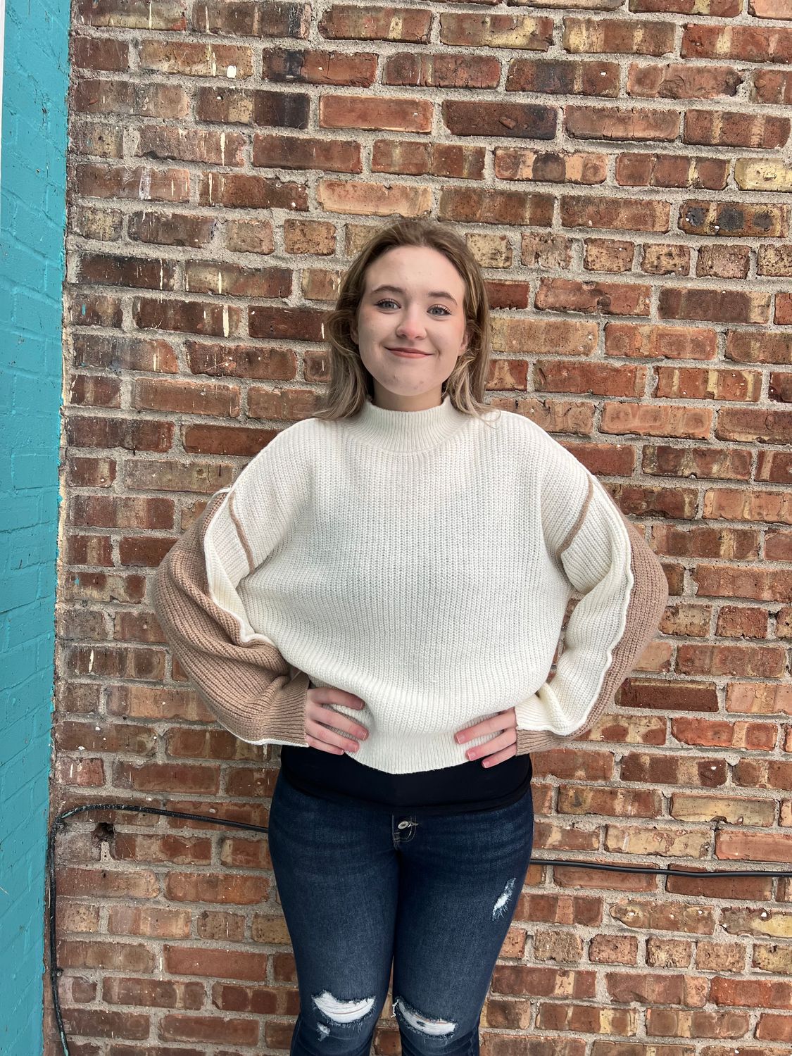 Darcy Colorblock Mock Neck Sweater