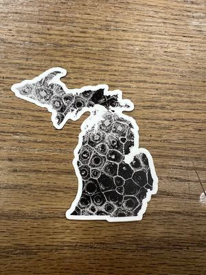 Michigan Sticker- Petoskey Stone