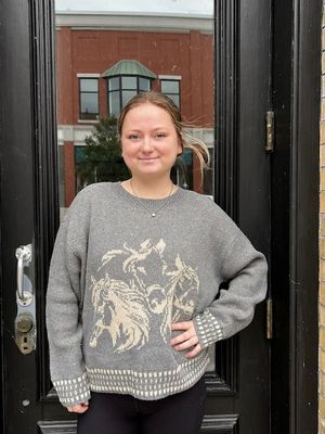 Robin Horse Jacquard Sweater