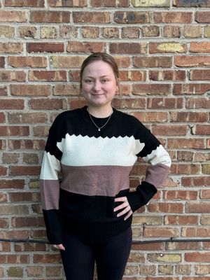 Arden Colorblock Crew Sweater