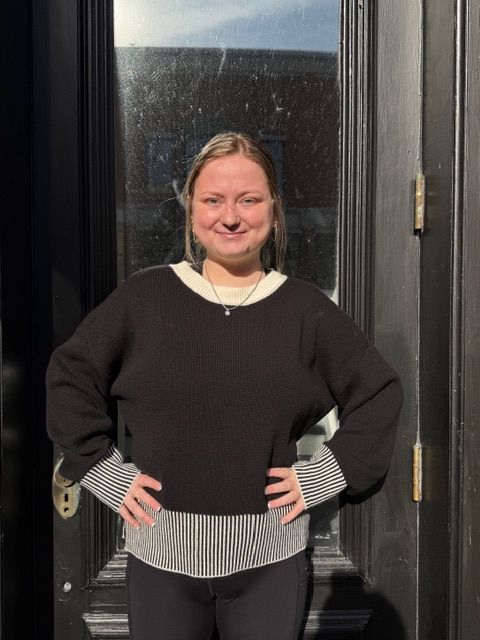 Paige Contrast Stripe Hem Sweater