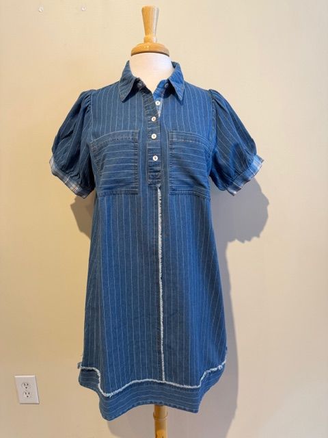 Margot Denim Stripe Polo Dress