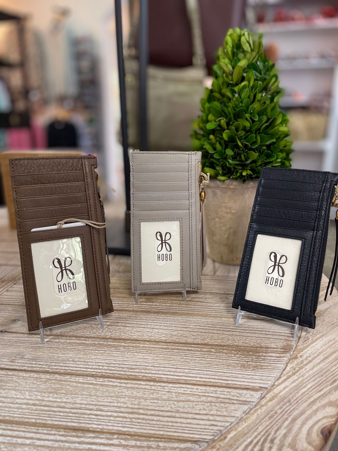 CARTE CARD CASE TAUPE