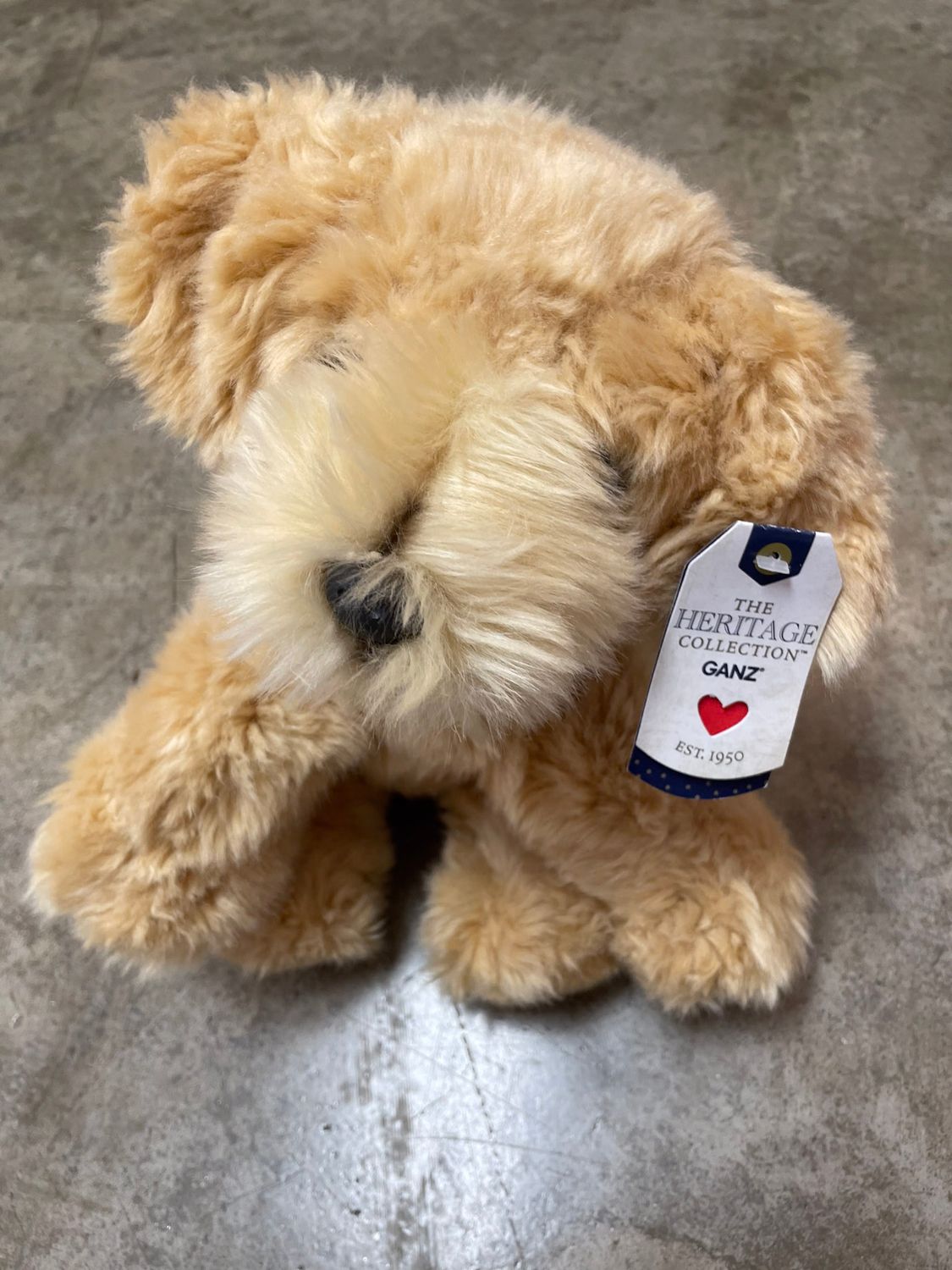 HERITAGE - LABRADOODLE