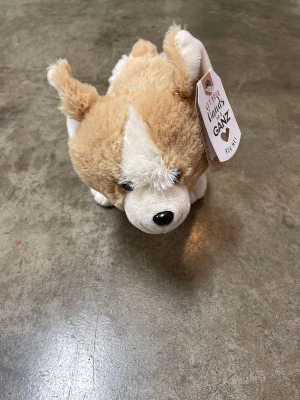 MONTY CORGI DOG