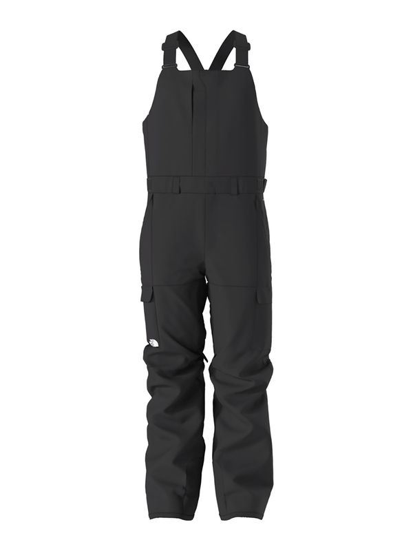 MAIN IMAGE OF THE NORTH FACE MENS FREEDOM BIB SNOWPANT IN TNF BLACK/NPF SMALL SHORT