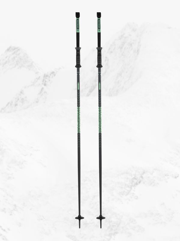 MAIN VIEW OF ARMADA UNISEX TRIAD DOWNHILL SKI POLE IN CUCUMBER/LIME
