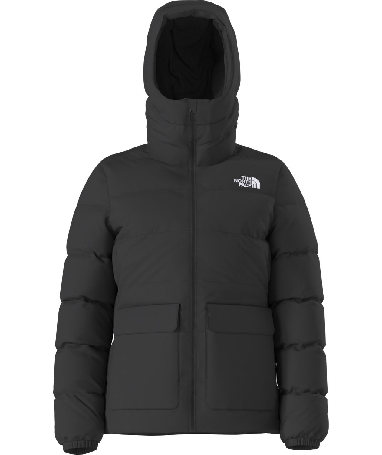 FRONT VIEW OF THE NORTH FACE WOMENS GOTHAM WINTER JACKET WITH ADDED WATER REPELLENCY AND 600 FILL R…