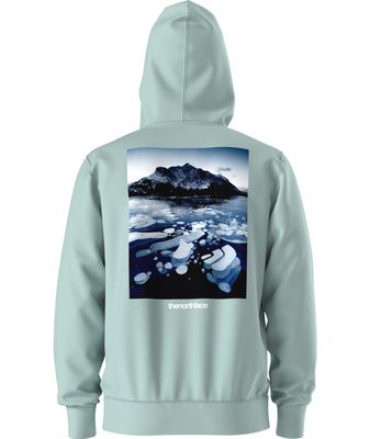 BACK VIEW OF THE NORTH FACE MENS SUSPENDED HOODIE IN MUTED PINE