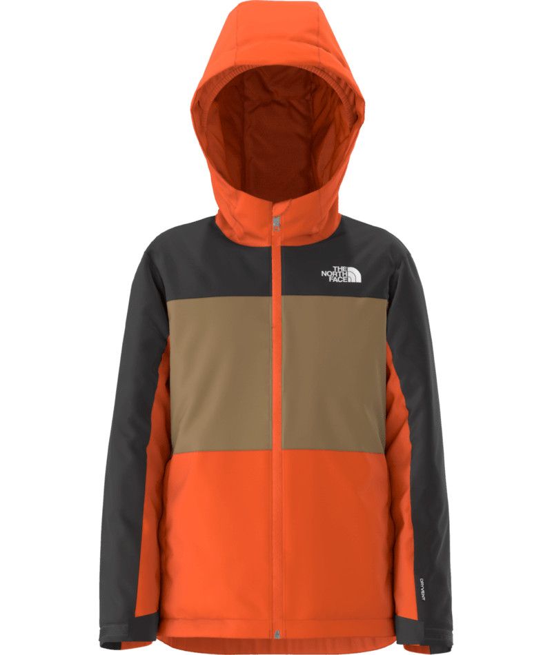 THE NORTH FACE YOUTH BOYS&#39; FREEDOM INSULATED WINTER JACKET 25, Color: TNF ORANGE, Size: XS