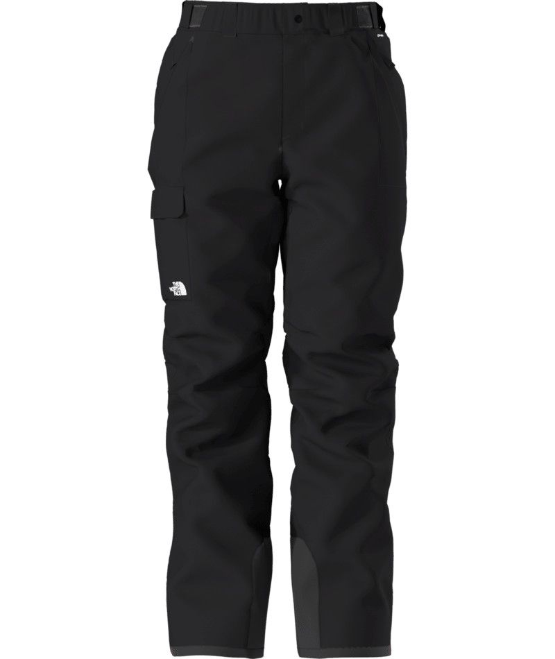 THE NORTH FACE MENS FREEDOM INSULATED SNOW PANT 26, Length: SHORT, Size: XS, Color: TNF BLACK/NPF