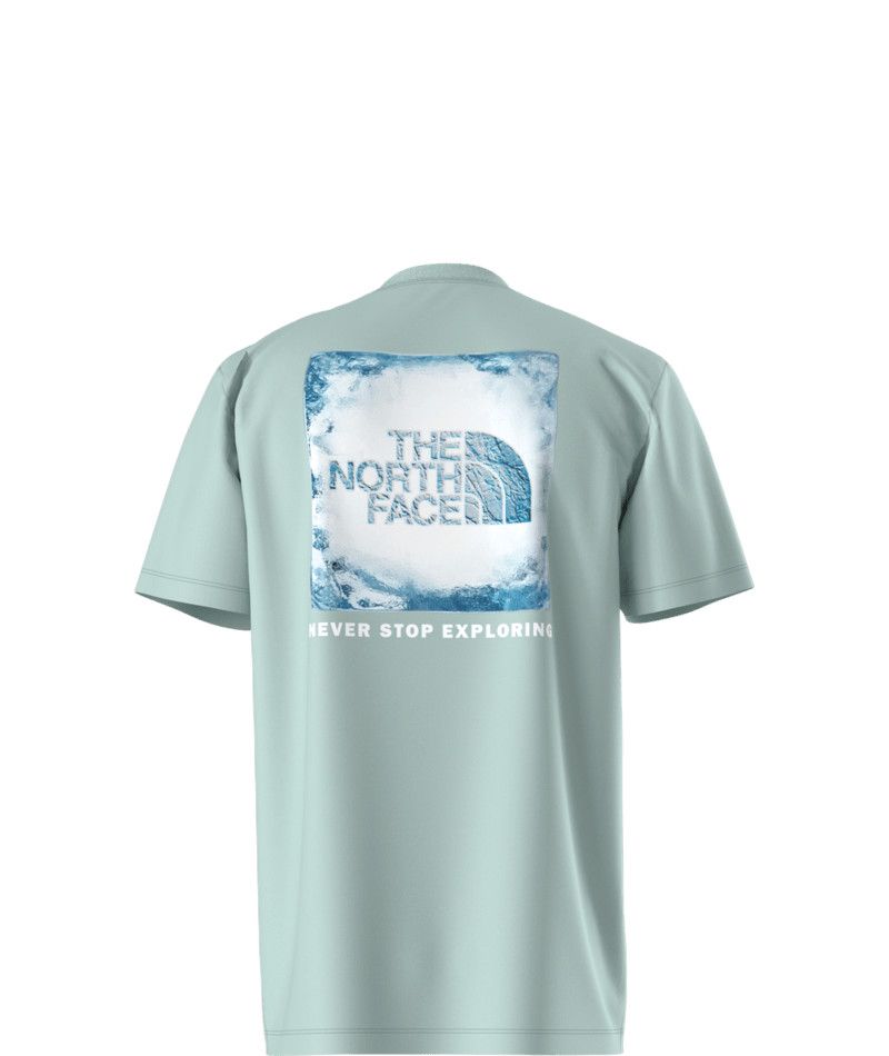 THE NORTH FACE MENS BOX NSE SHORT SLEEVE SHIRT 25, Color: MUTED PINE/ART, Size: SMALL
