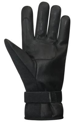 Auclair Lillehammer Glove
