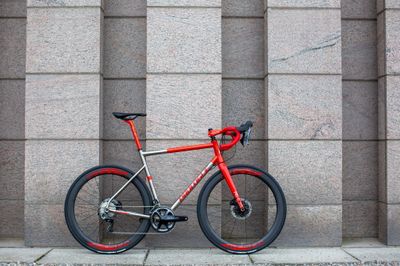 Fonzaso Ti Disc (profile)