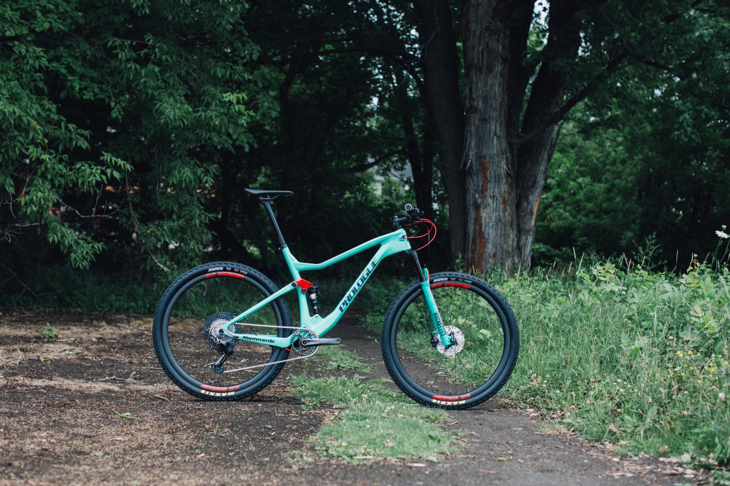 Monteverde (carbon - full suspension)