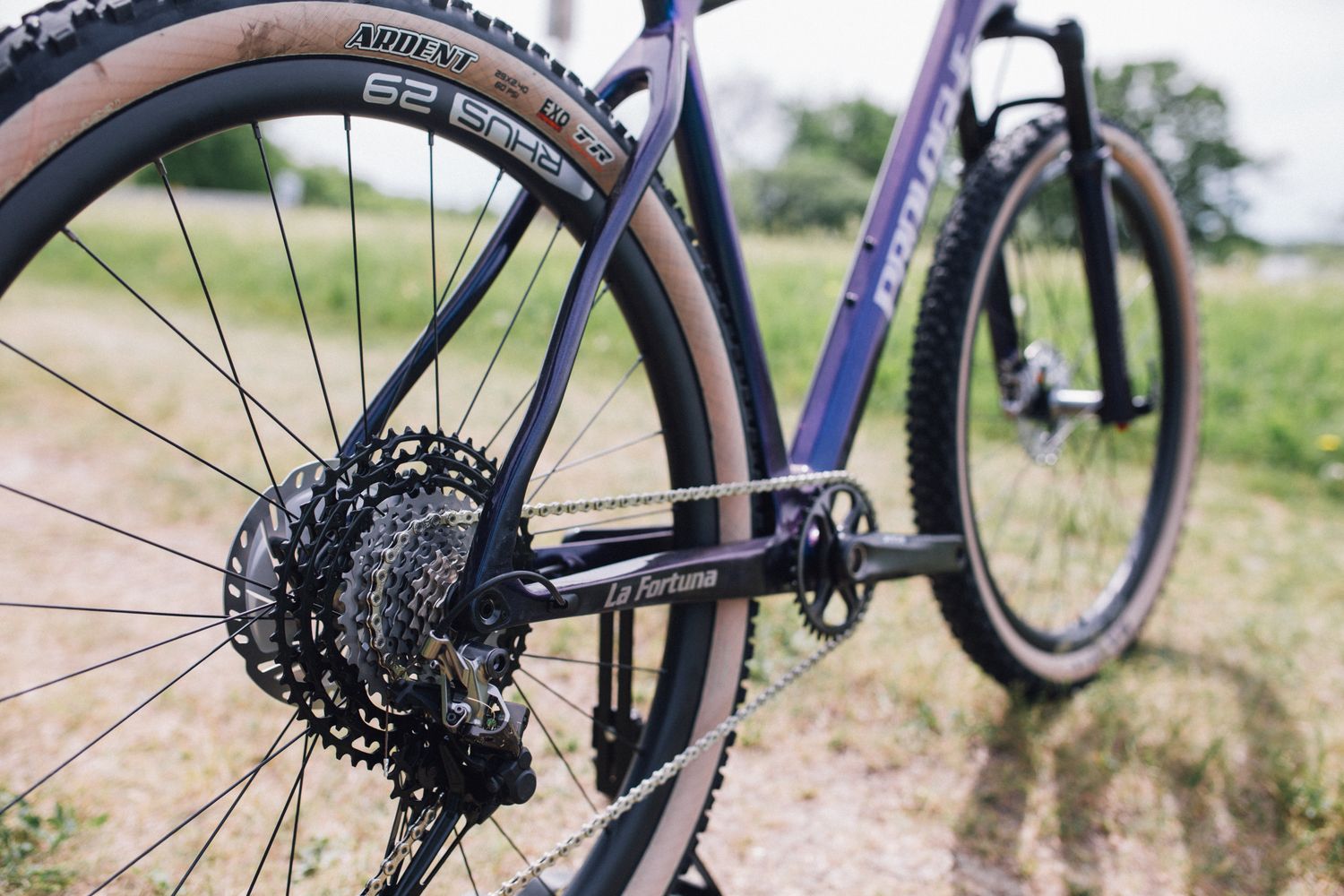 La Fortuna (carbon - hardtail)