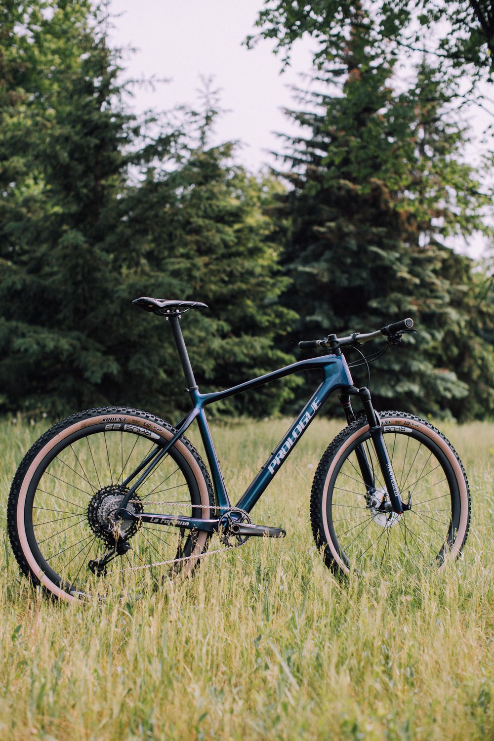 La Fortuna (carbon - hardtail)