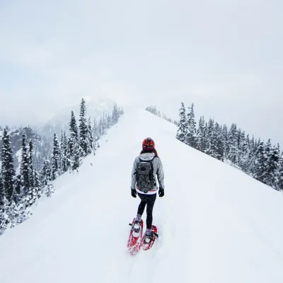 Snowshoes