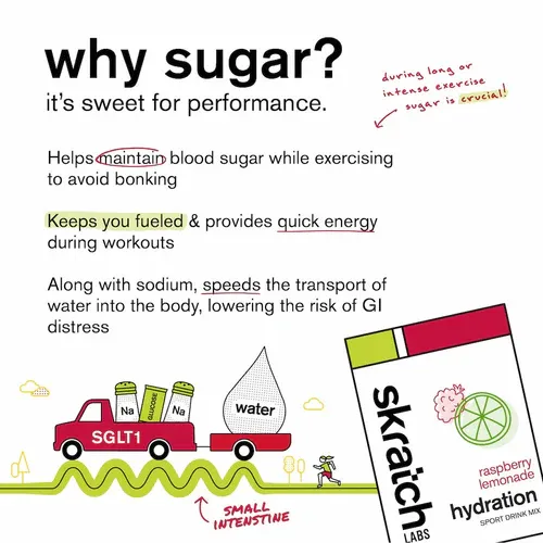 Skratch Labs Hydration Mix 440g (20 serving Resealable Bag)