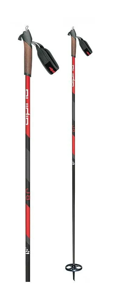 Alpina BC poles