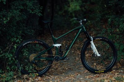 Mountain Bikes