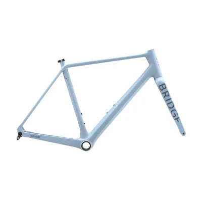 Bridge Surveyor Frameset