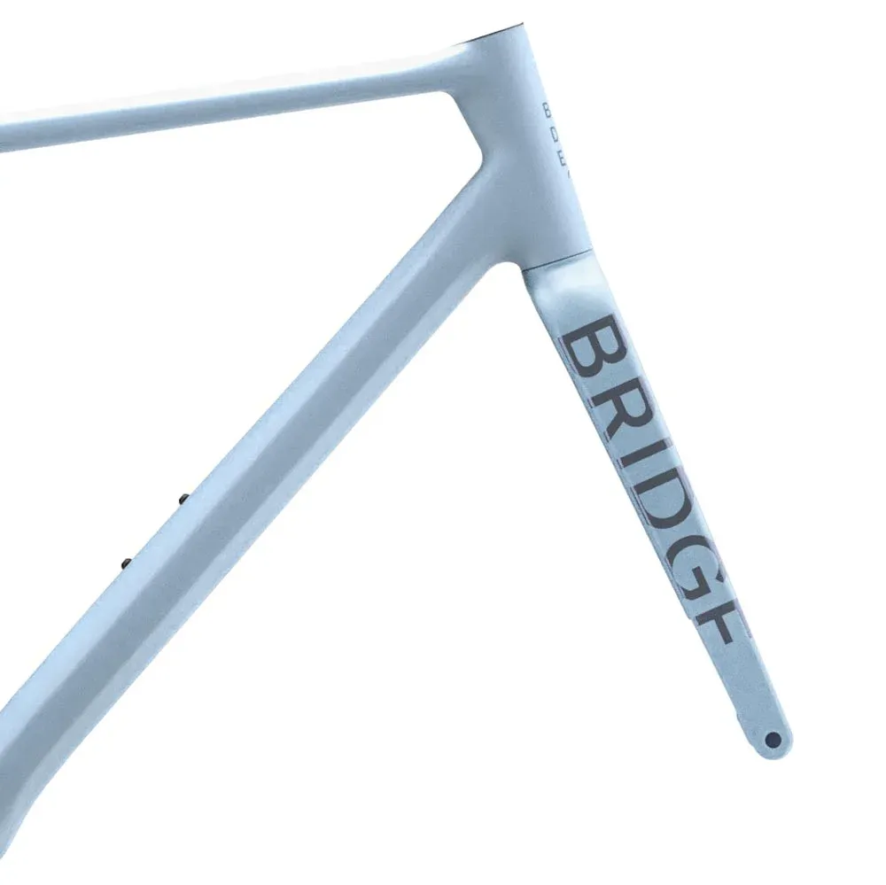 Bridge Surveyor Frameset