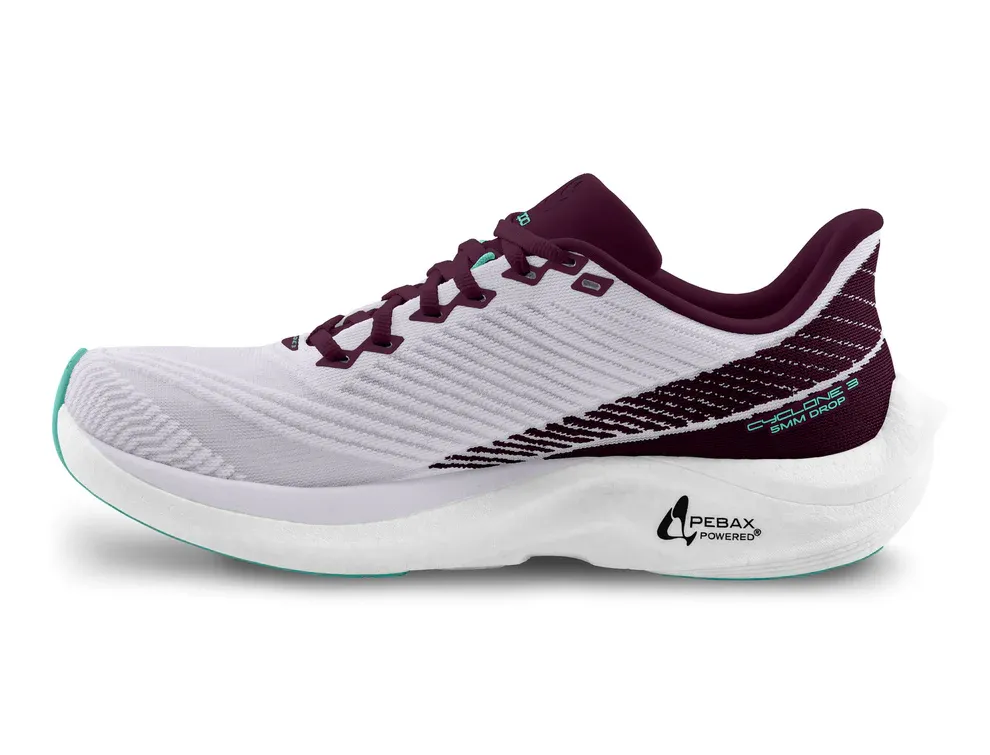 Topo Cyclone 3
