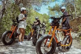 Electric Bikes