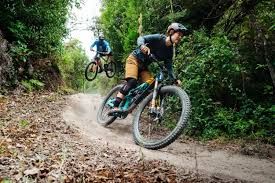Mountain Bikes