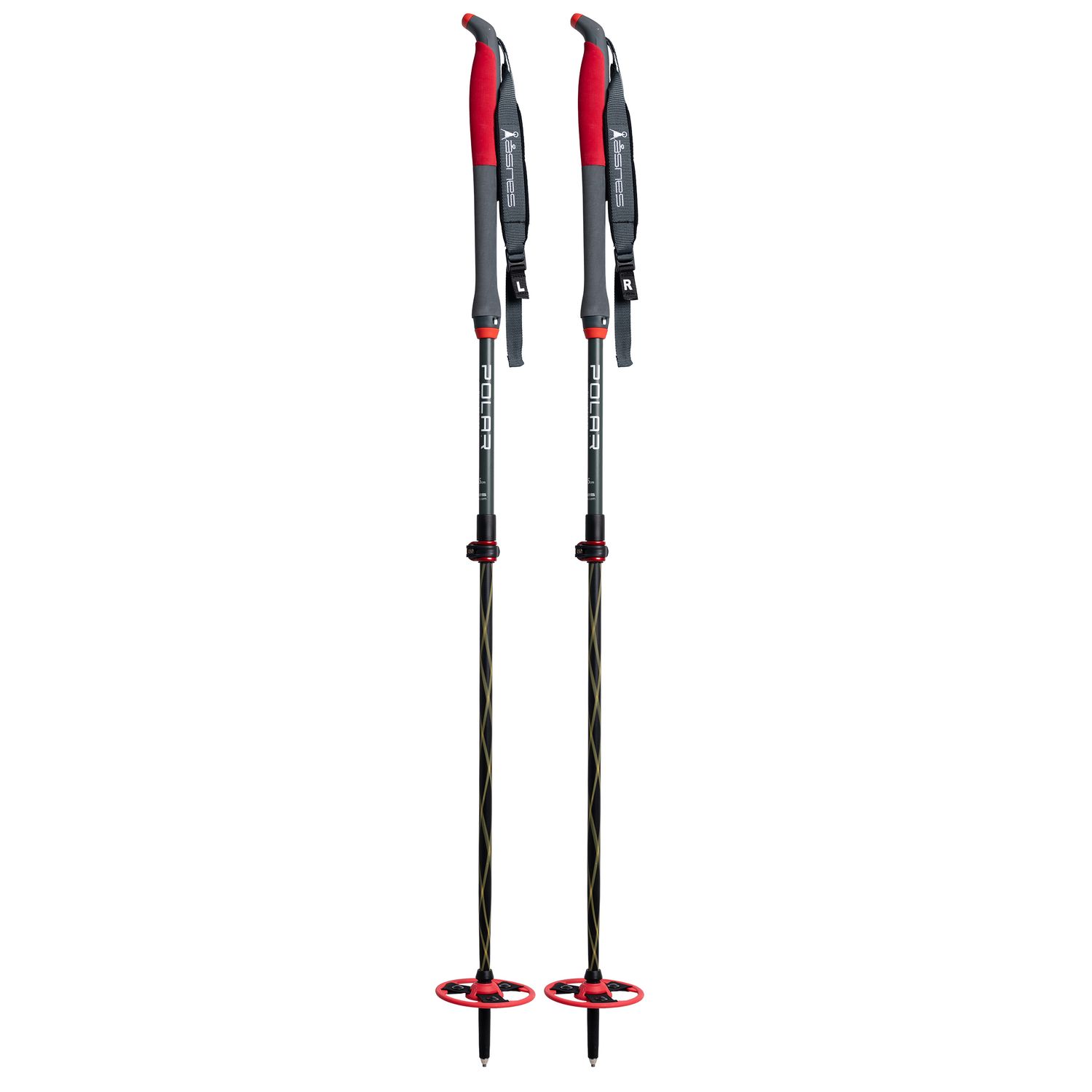 Asnes Polar 2-Section V2 Backcountry Pole