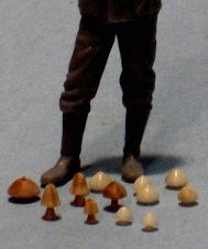 107 - Paddestoelen - 1:35/1:48