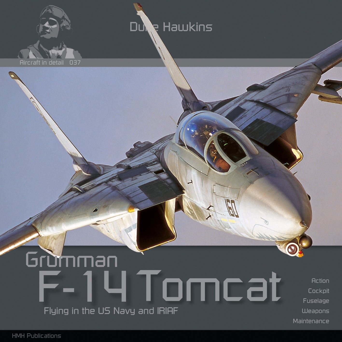 DH-037 - Grumman F-14 Tomcat