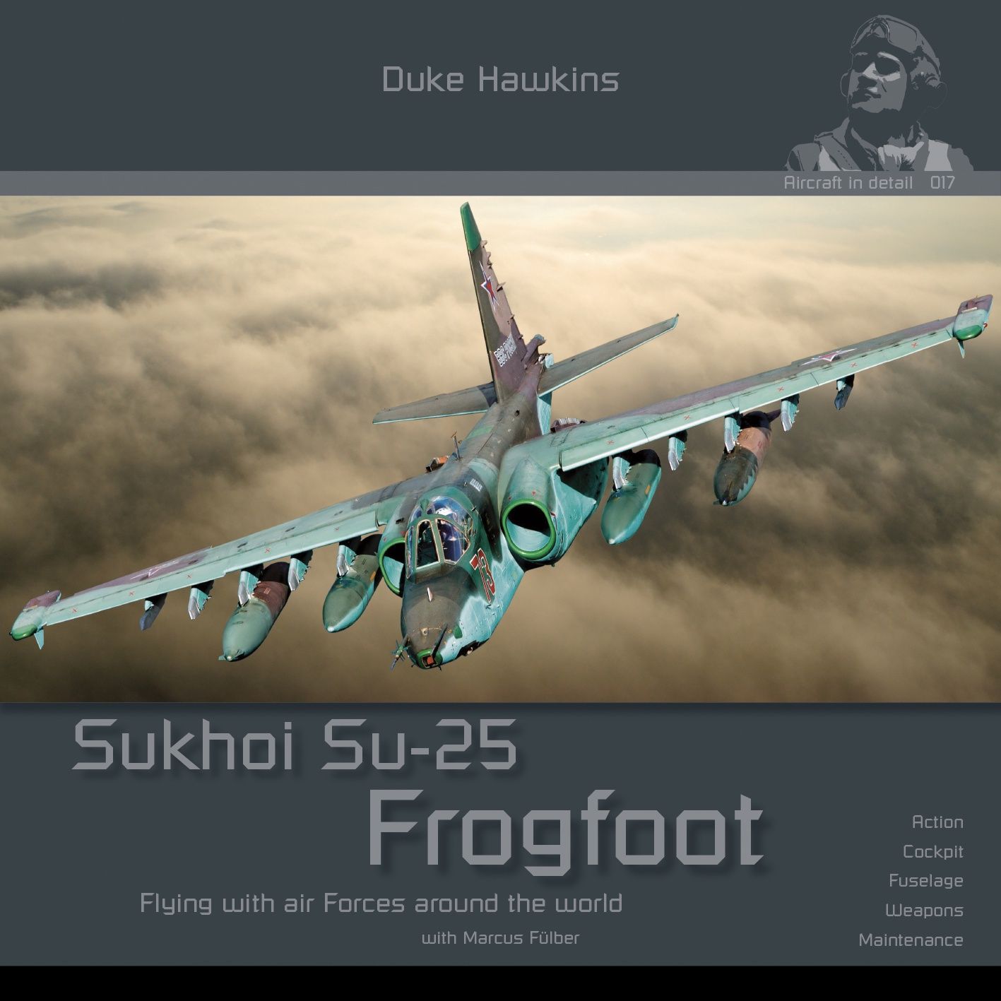 DH-017 - Sukhoi Su-25 Frogfoot