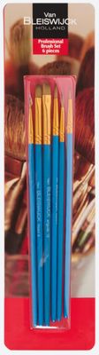2528399 - Professional Brush Set - 6 pieces