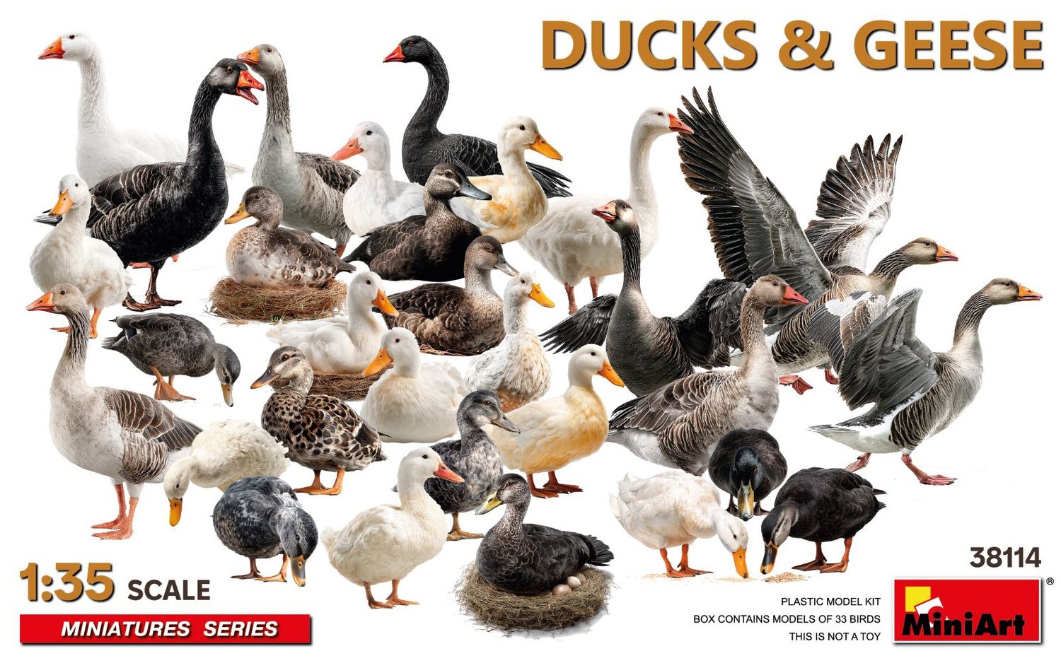 38114 - Ducks &amp; Geese - 1:35