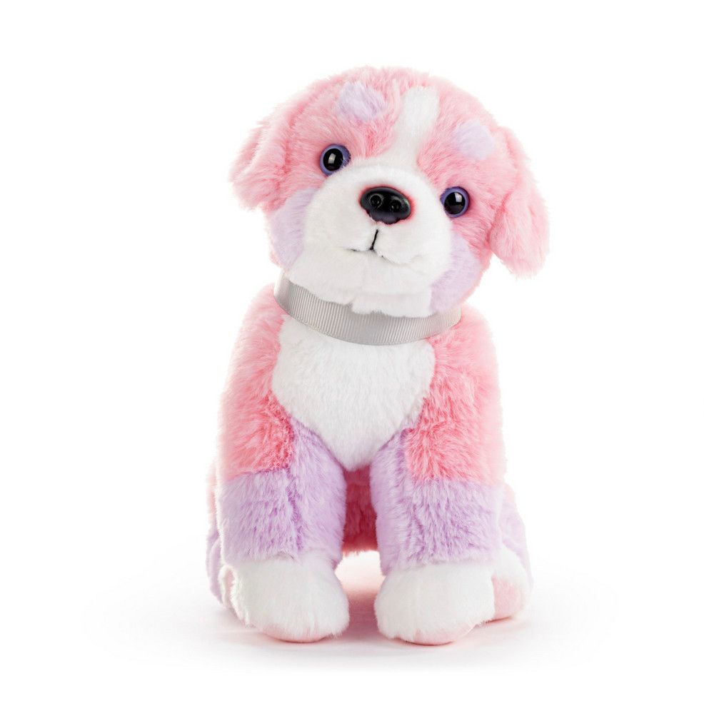 Bernese Mountain Dog - Bright Pink