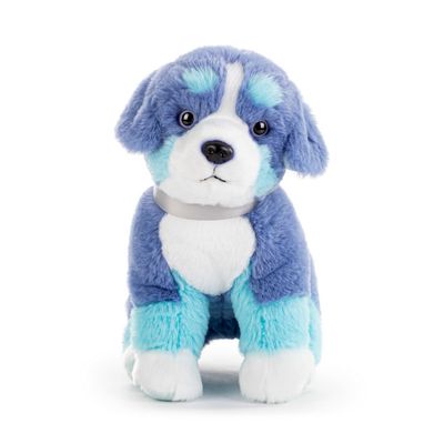 Bernese Mountain Dog - Bright Teal