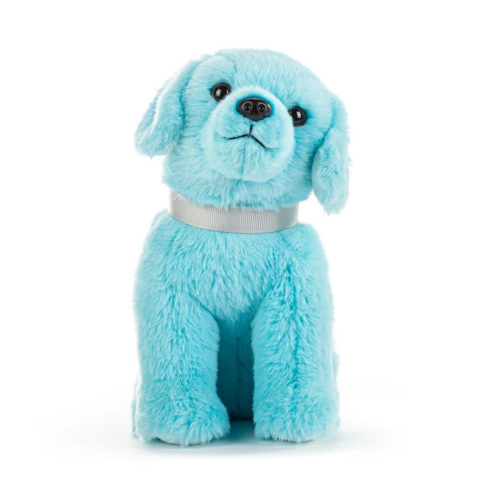 Lab Small - Bright Teal