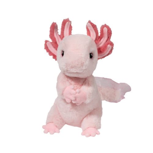 Luisa Axolotl