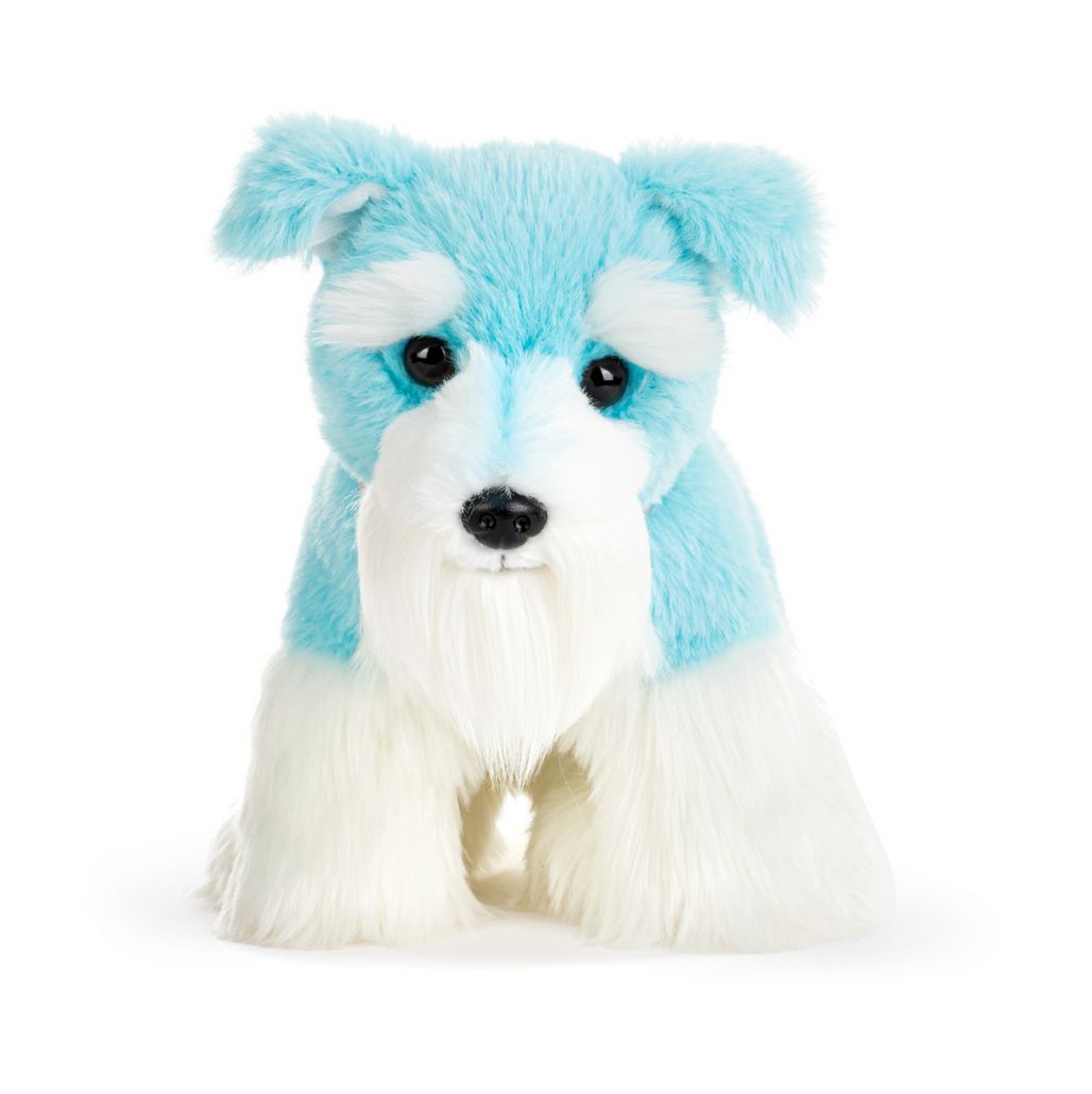 Schnauzer Small - Bright Teal