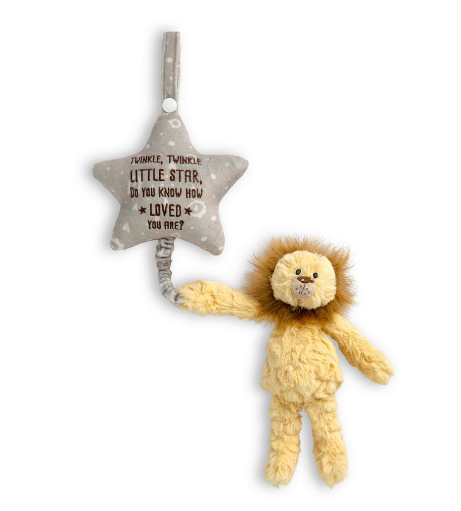 Musical Pull Toy - Lion