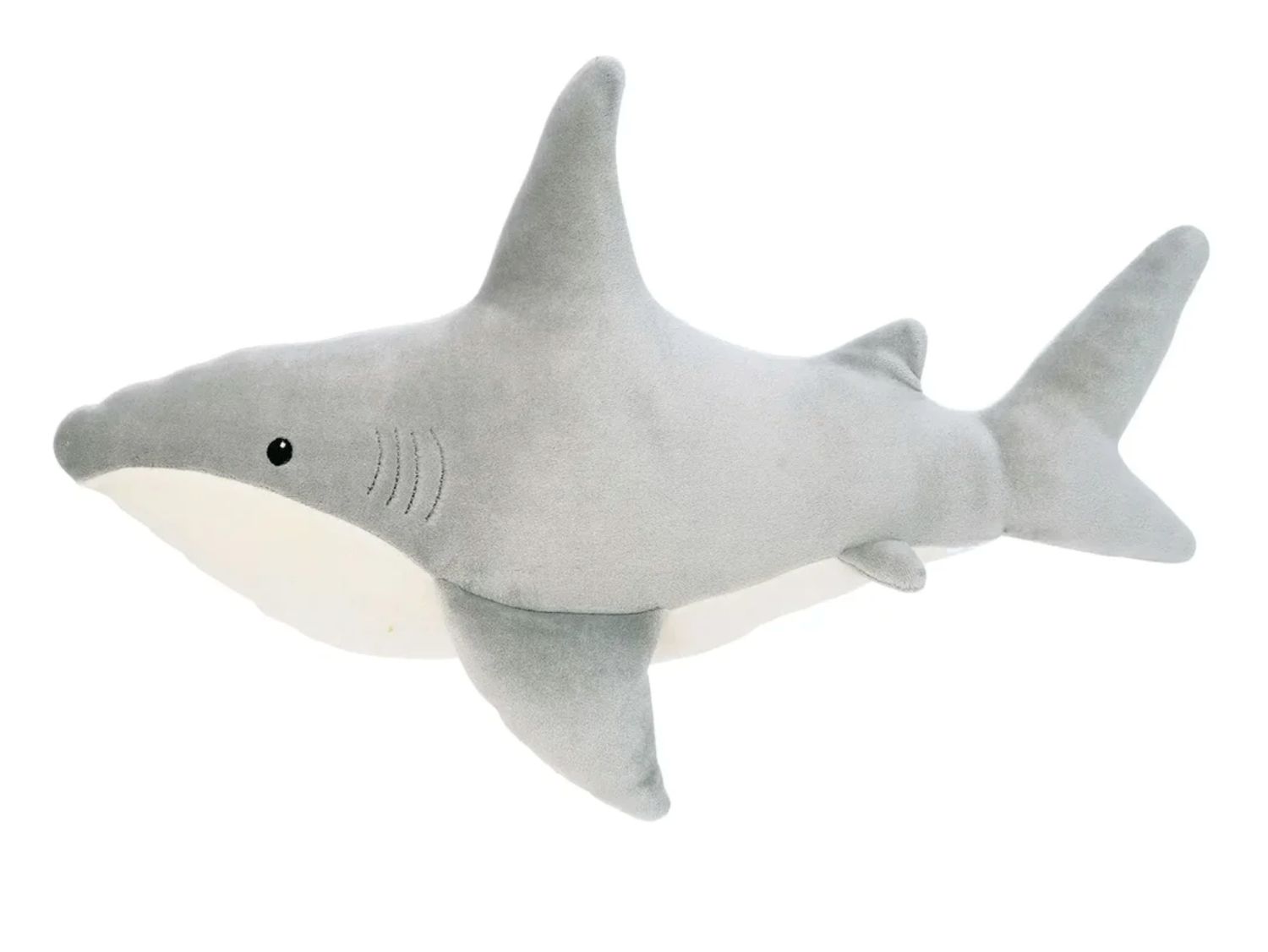 Snarky Sharky
