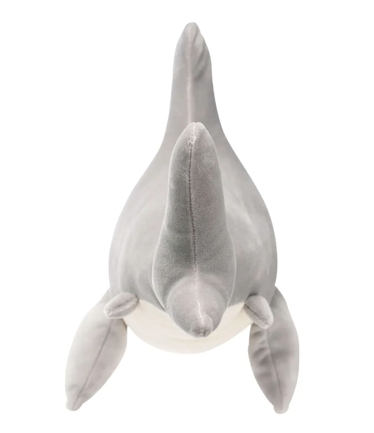 Snarky Sharky