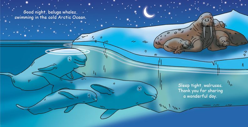 Good Night Ocean