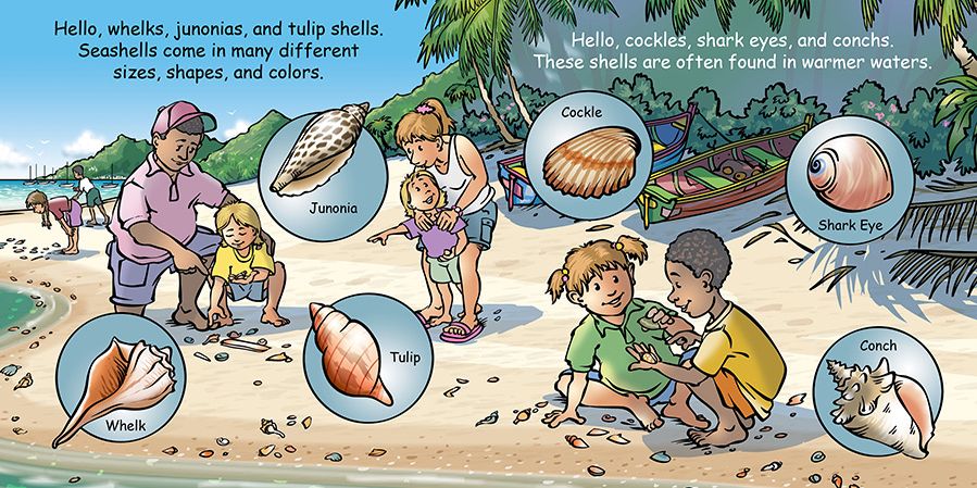 Good Night Seashell