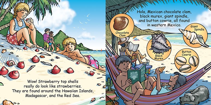 Good Night Seashell
