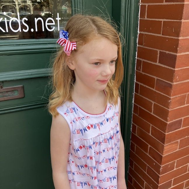 Old Glory Yoke Dress